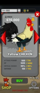 Manok na pula adult yellow chicken