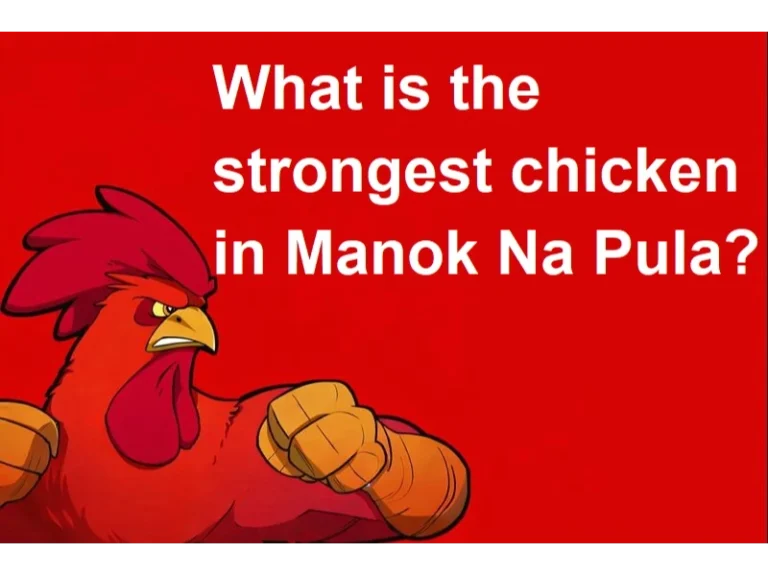 What is the strongest chicken in Manok Na Pula?